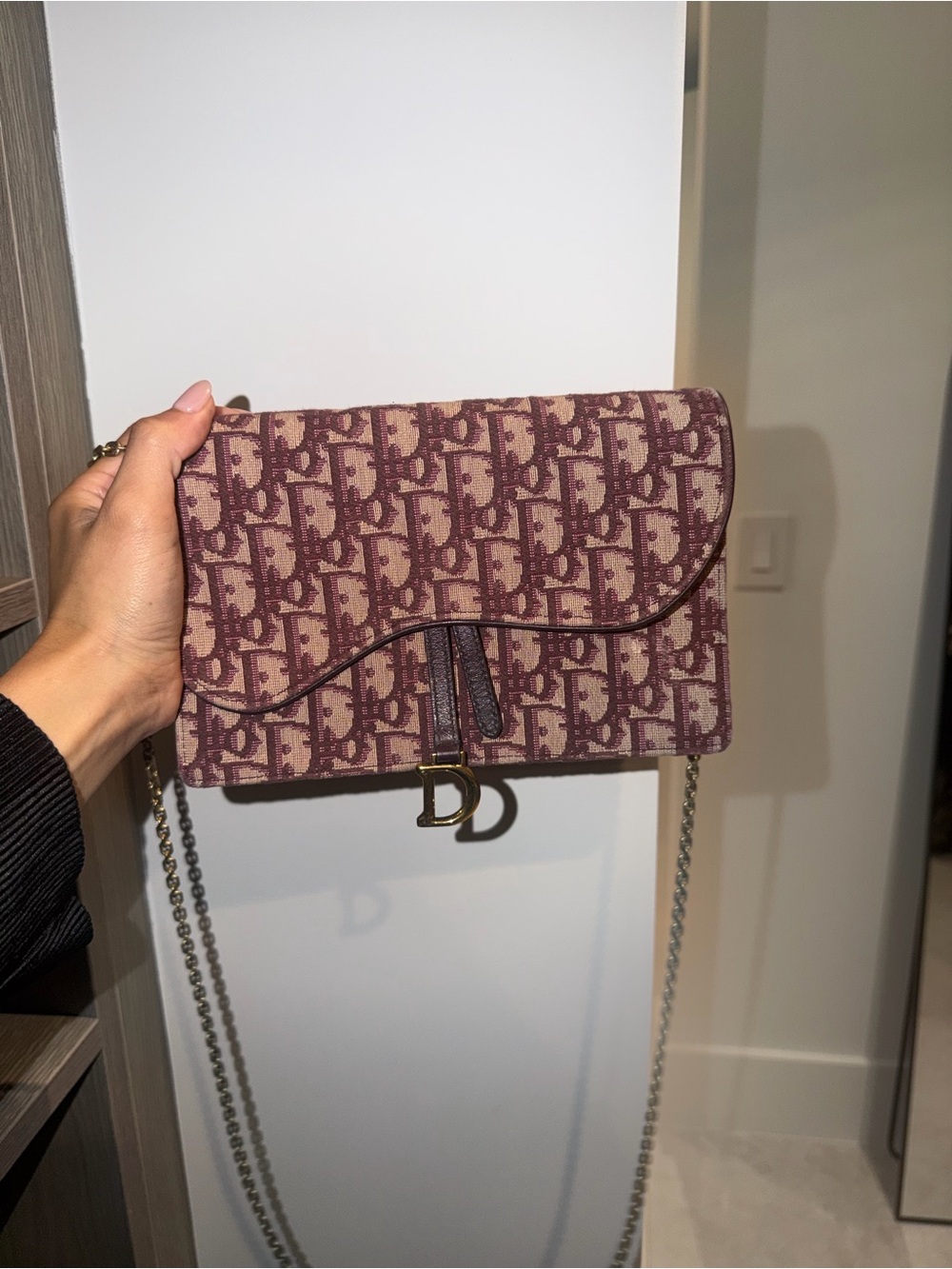 Dior Mauve Monogram Chain Crossbody Bag